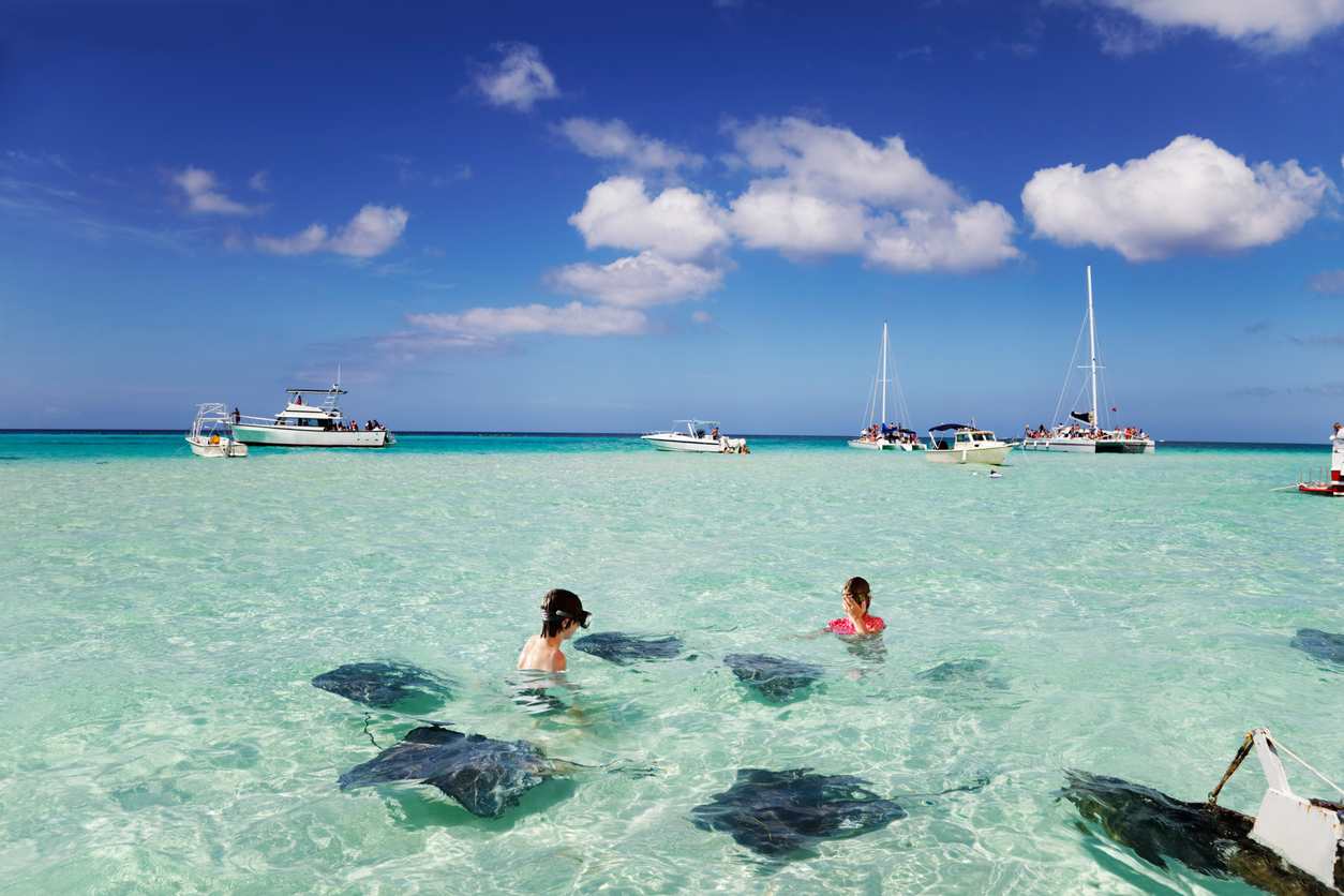 Stingrays at the sand bar